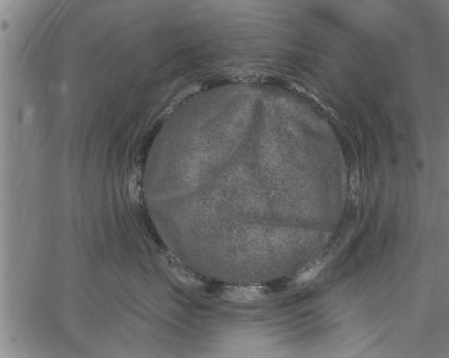 X0000066530671200603311821