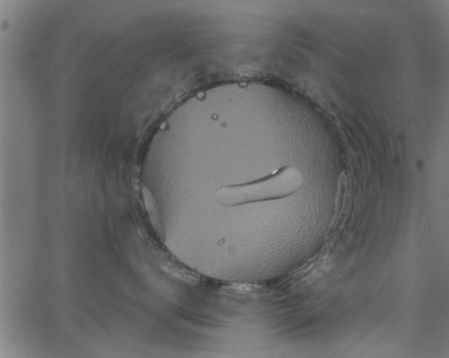 X0000066530672200603311821