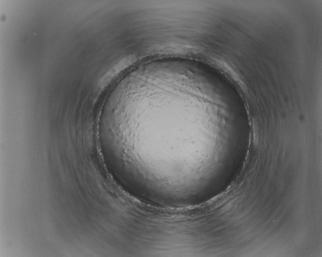 X0000066530675200603311821