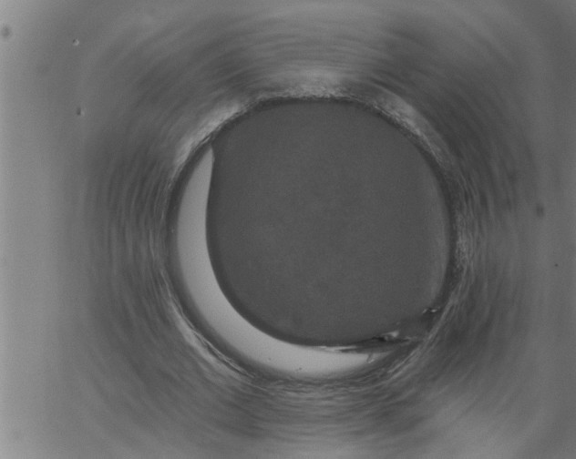 X0000066530677200603311820