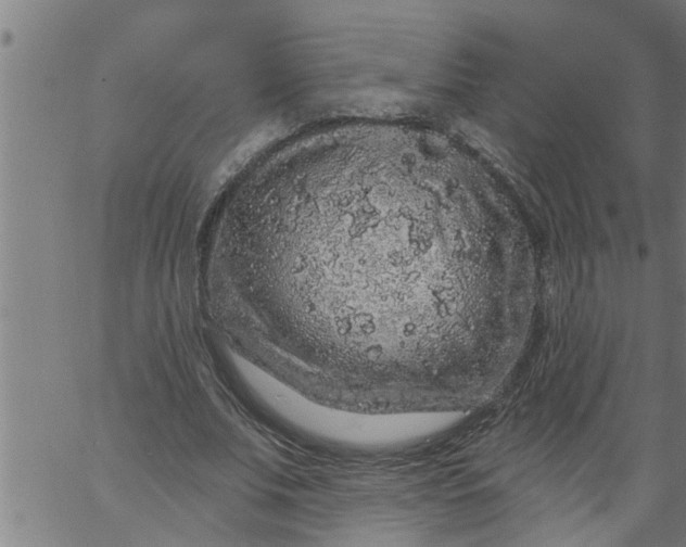 X0000066530679200603311820