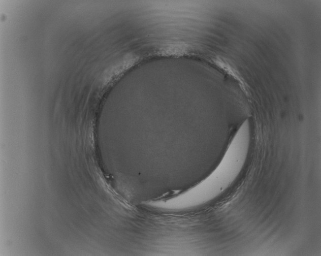 X0000066530681200603311820