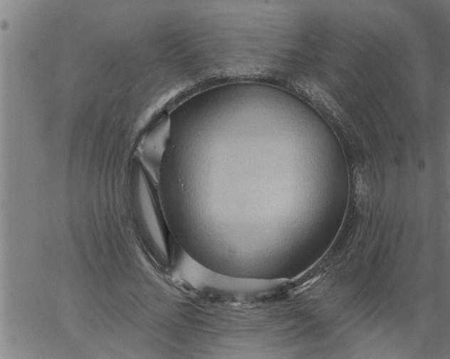 X0000066530684200603311820