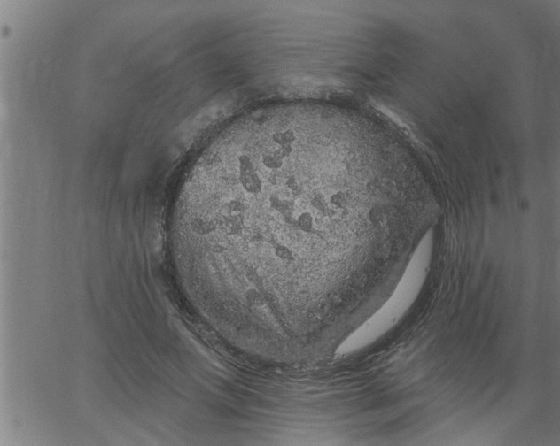 X0000066530687200603311820