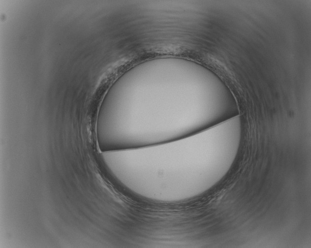 X0000066530688200603311820