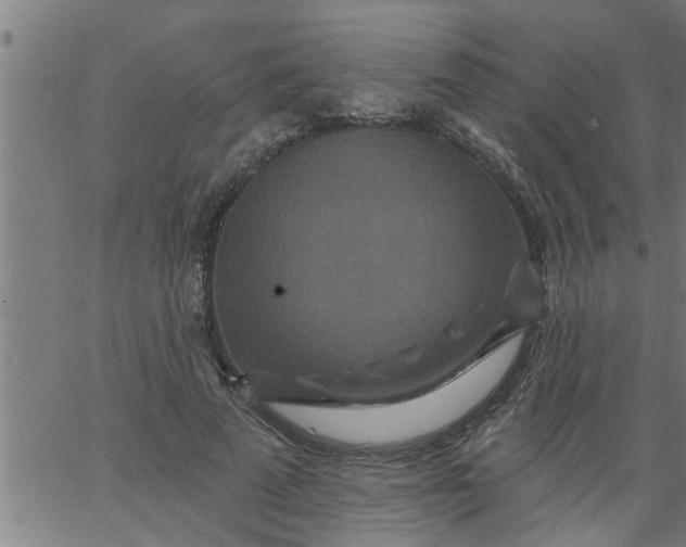 X0000066530689200603311820