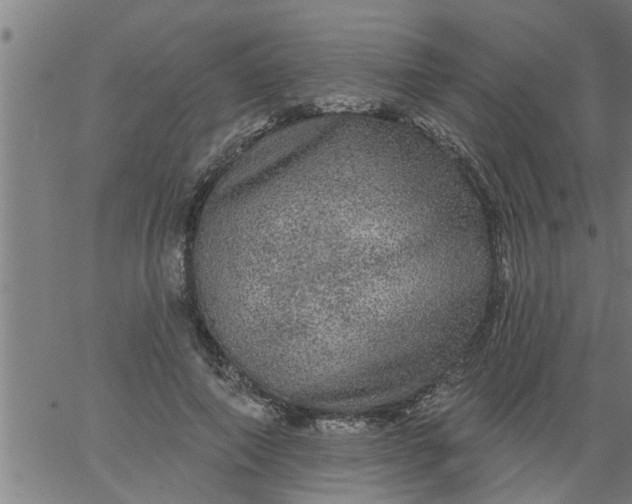 X0000066530690200603311820