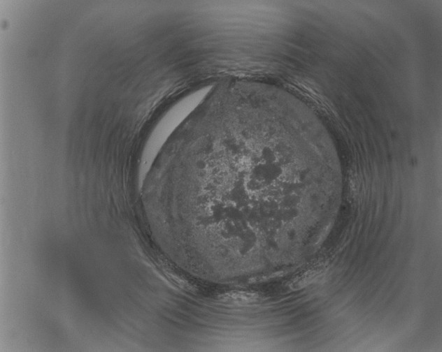 X0000066530691200603311820