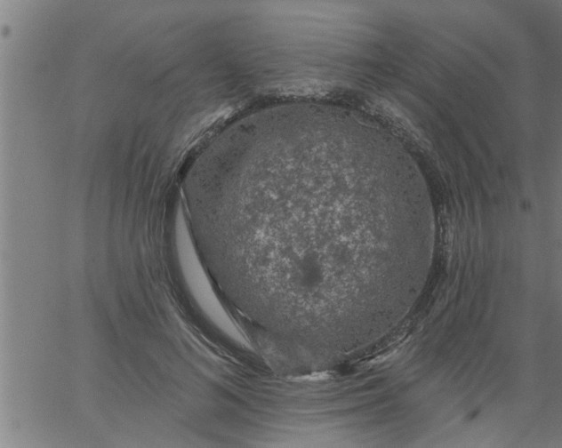 X0000066530692200603311820