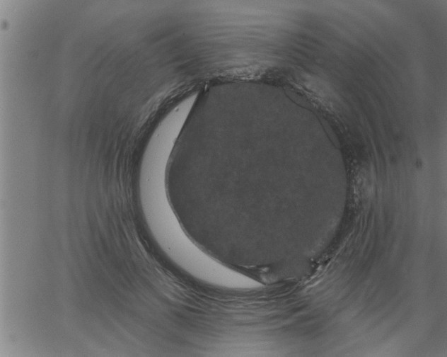 X0000066530693200603311820