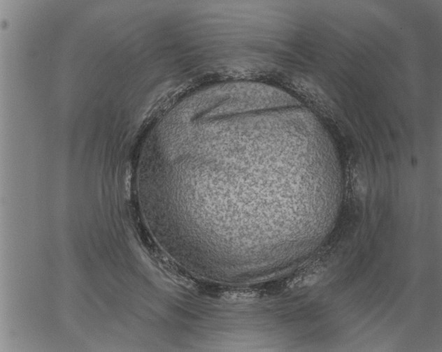 X0000066530694200603311820