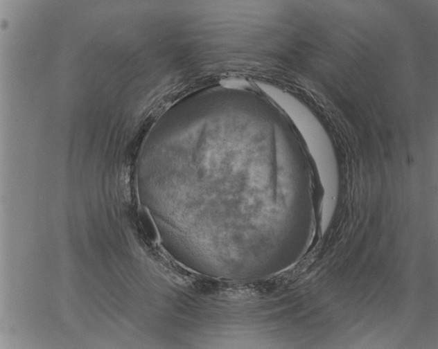 X0000066530696200603311820