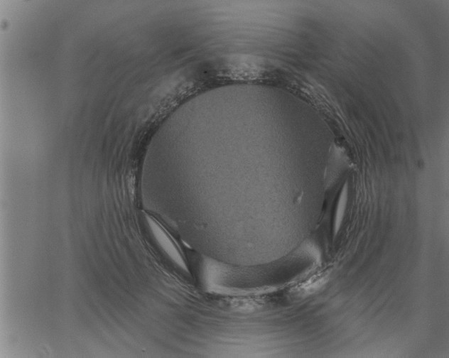 X0000066530697200603311820