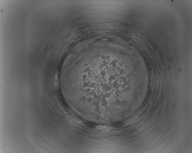 X0000066530699200603311820