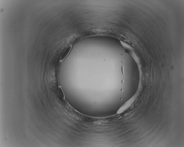 X0000066530700200603311820