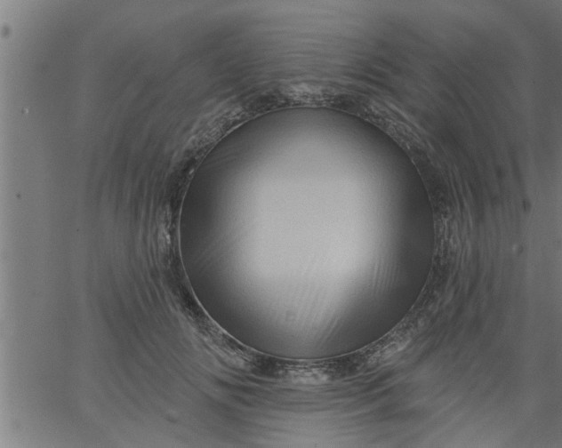 X0000066530702200603311820