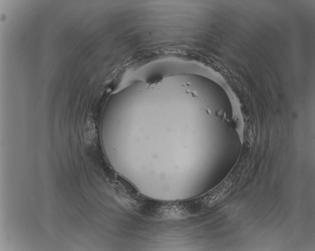 X0000066530704200603311820