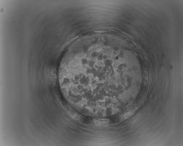 X0000066530707200603311820