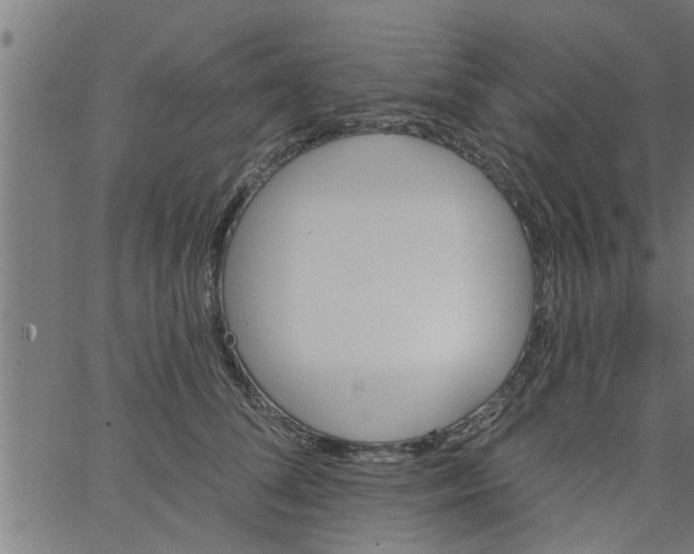 X0000066530708200603311820