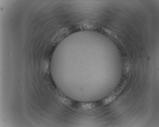 X0000066530709200603311820