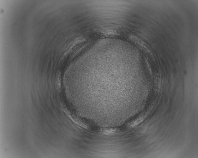 X0000066530710200603311820