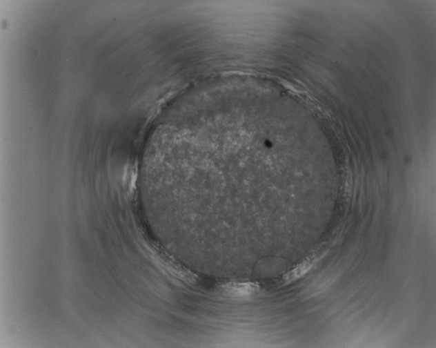 X0000066530711200603311820