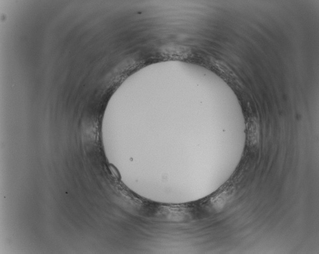 X0000066530713200603311820