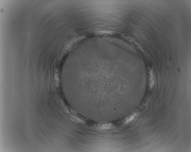 X0000066530716200603311820