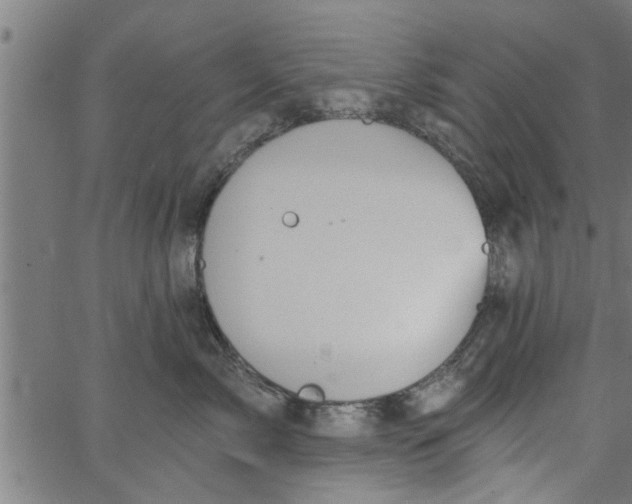 X0000066530717200603311820