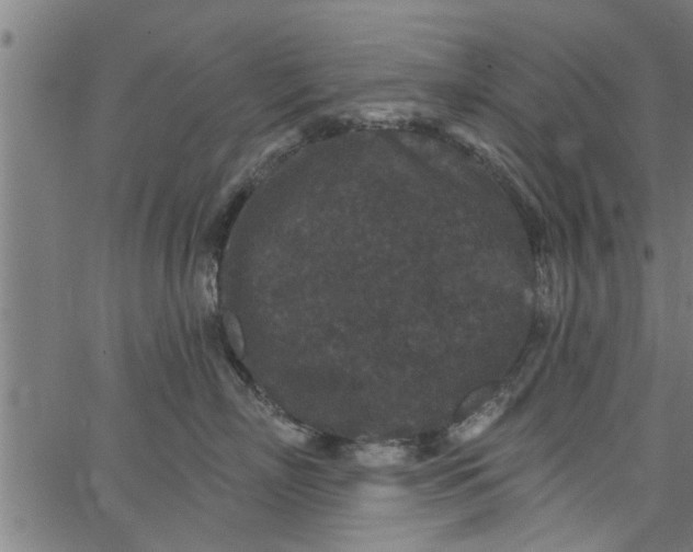 X0000066530718200603311820