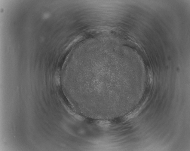 X0000066530719200603311820