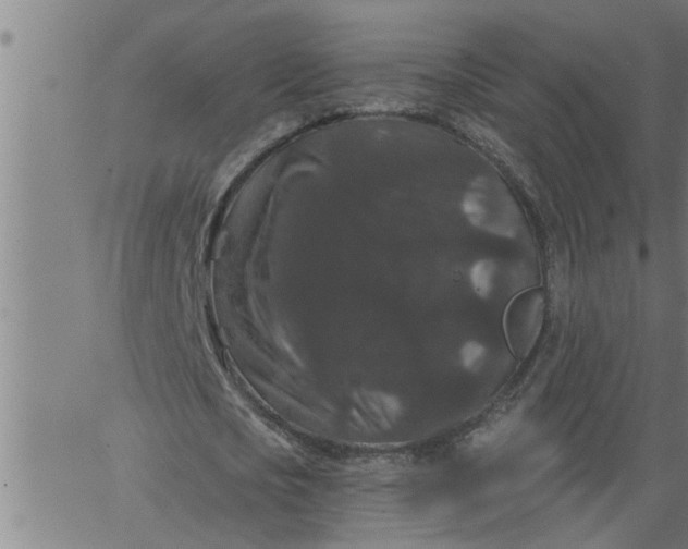 X0000066530721200603311819