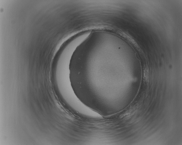 X0000066530724200603311819