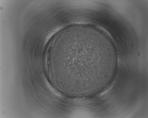 X0000066530725200603311819