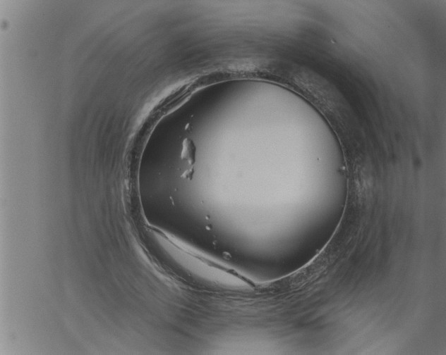 X0000066530728200603311819