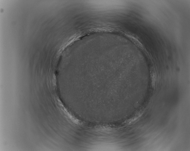 X0000066530729200603311819