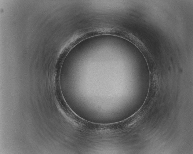 X0000066530730200603311819