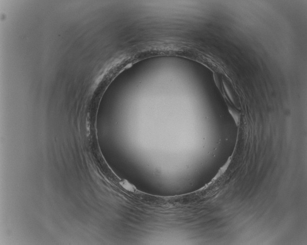 X0000066530731200603311819