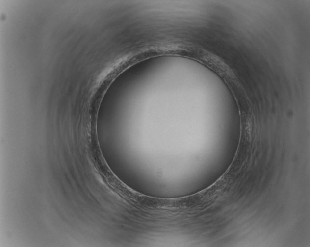 X0000066530732200603311819