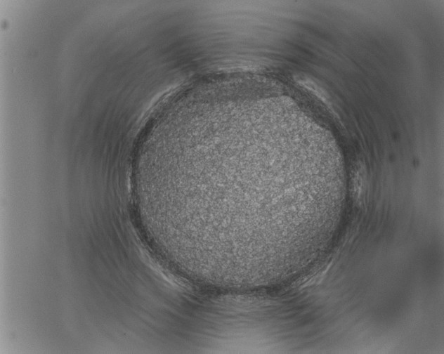 X0000066530733200603311819