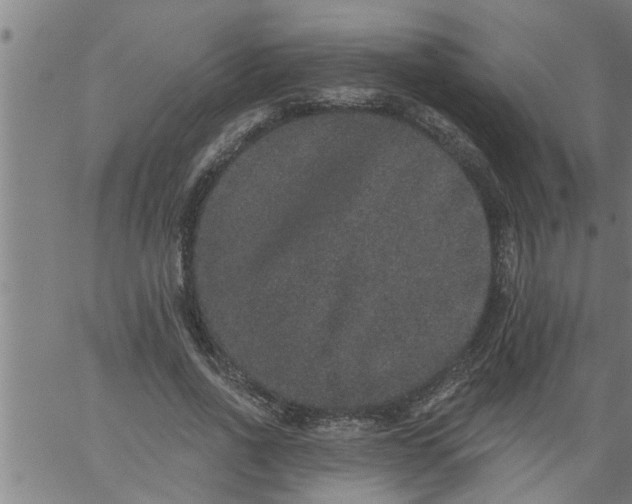 X0000066530734200603311819