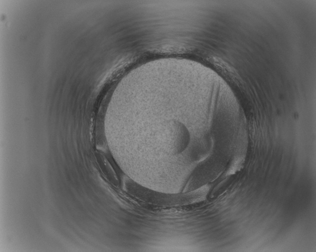 X0000066530735200603311819