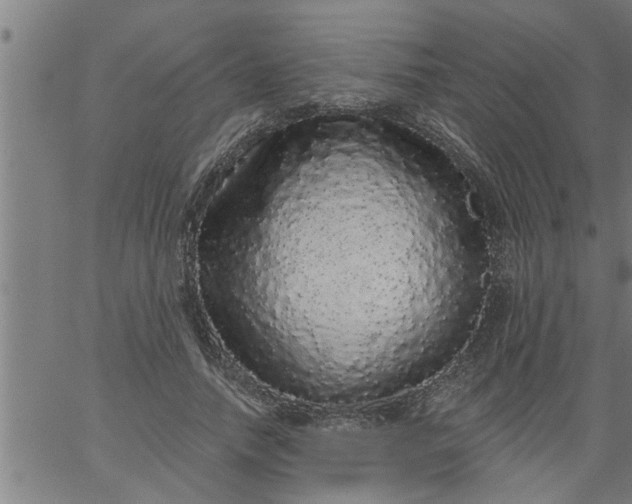 X0000066530738200603311819