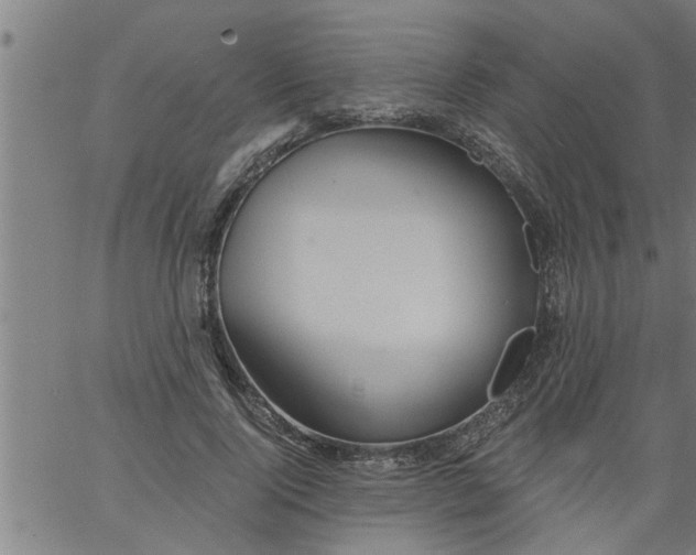 X0000066530740200603311819