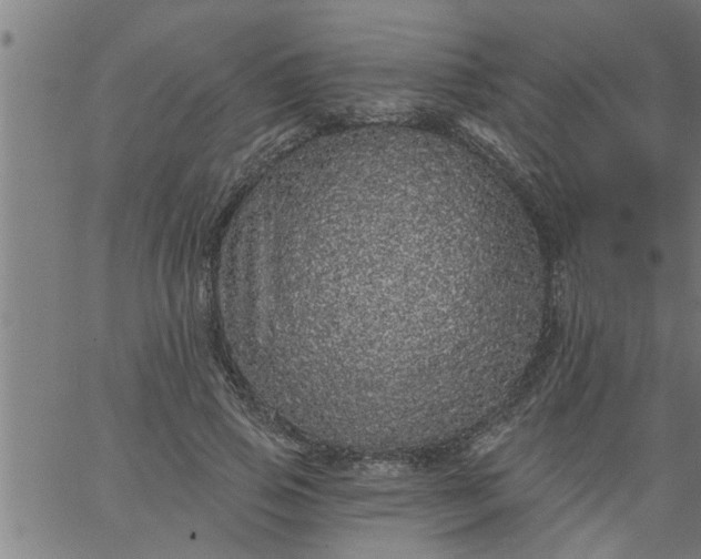 X0000066530741200603311819