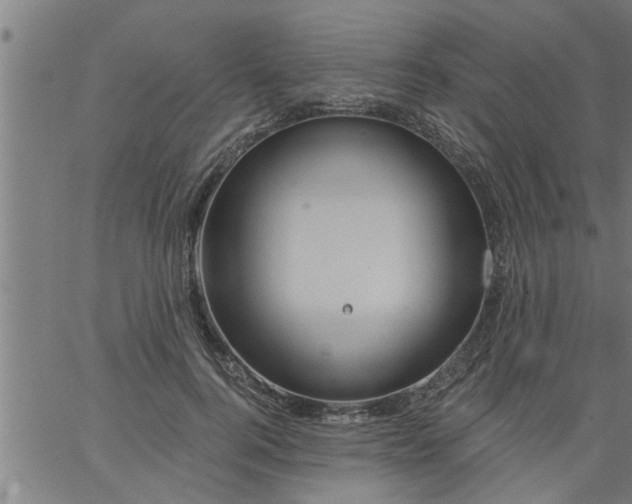 X0000066530744200603311819