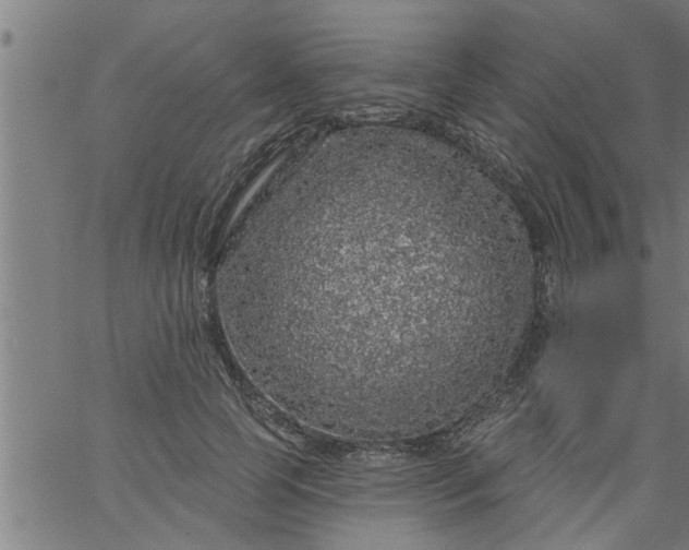 X0000066530745200603311819