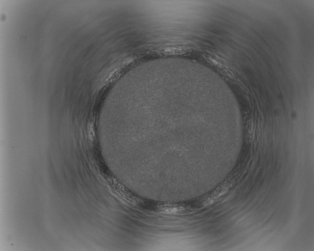 X0000066530746200603311819