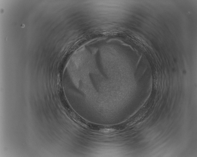 X0000066530748200603311819