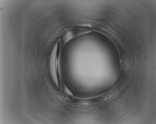 X0000066530750200603311819